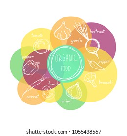 Organic healthy fruits and vegetables conceptual doodles illustration for your design