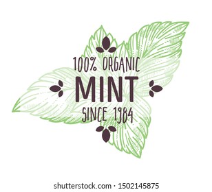 Organic herb market, mint or peppermint isolated icon with lettering vector. Fresh leaves or foliage, natural spices and plant, spearmint emblem or logo. Cooking or tea ingredient, medicine and botany