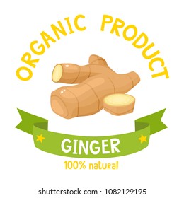 Organic herbal badge of fresh ginger with ribbon banners isolated on white background. Vector illustration of cartoon healthy plant label used for magazine, poster, menu, web pages.