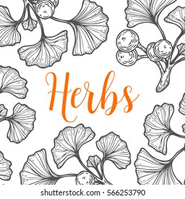 Organic herbal tea leaf, bean vector hand drawn template packaging cosmetic, label, banner, poster, identity, branding. Stylish design with sketch illustration of tea sketch.