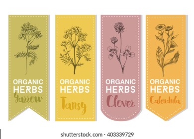 Organic herbs set of label.