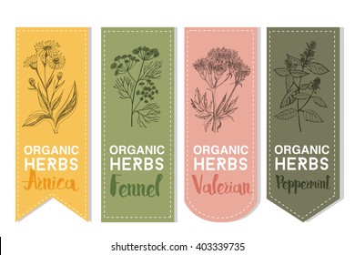 Organic herbs set of label.