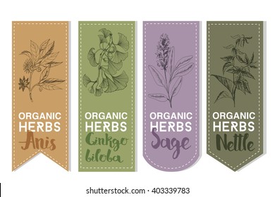 Organic herbs set of label.