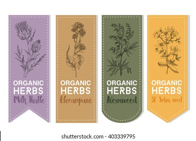 Organic herbs set of label.