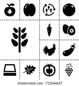 Organic icon. set of 13 filled organic icons such as harvest, leaf, carrot, orange, peach, grape, eggplant, tomato, plant, turkey, easter egg, square plant pot