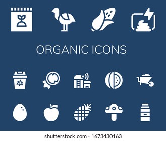 organic icon set. 14 filled organic icons.  Simple modern icons such as: Fertilizer, Ostrich, Corn, Compost, Egg, Recycling, Apple, Coconut, Pineapple, Farm, Mushroom, Watermelon
