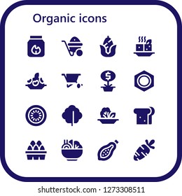  organic icon set. 16 filled organic icons. Simple modern icons about  - Charcoal, Wheelbarrow, Corn, Tofu, Rice, Plant, Nut, Kiwi, Lettuce, Salad, Sandwich, Eggs, Papaya, Carrot