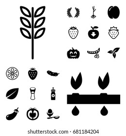 Organic icon. set of 20 organic filled and outline icons such as peach, peas, eggplant, leaf, energy drink, cucumber, milk glass, boiled egg, sprout, tomato, pumpkin haloween