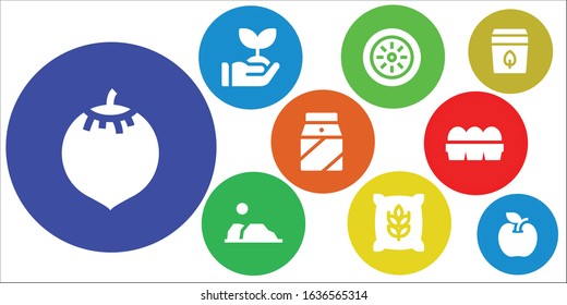 organic icon set. 9 filled organic icons.  Simple modern icons such as: Coconut, Sprout, Kiwi, Desert, Wheat, Milk, Eggs, Tea bag, Apple