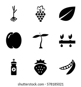 organic icon. Set of 9 organic filled icons such as plant, strawberry, peach, grape, leaf, energy drink, sprout