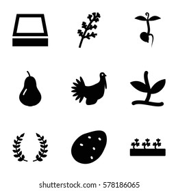 organic icon. Set of 9 organic filled icons such as potato, pear, deel, sprout plants, sprout, turkey, square plant pot, olive branch