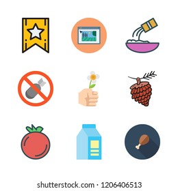 organic icon set. vector set about milk, pine nut, supermarket and bombs icons set.