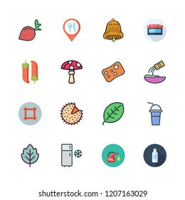 organic icon set. vector set about leaf, food, chilli and mushroom icons set.