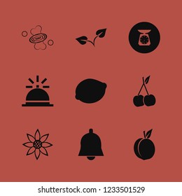 organic icon. organic vector icons set cherry, sprout, kitchen scale and peach