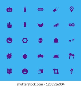 organic icon. organic vector icons set corn, mushrooms, bread slices and nut