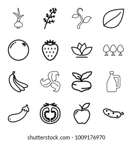 Organic icons. set of 16 editable outline organic icons such as orange, beet, deel, leaf, cucumber, flower, apple, aubergine, tomato, banana, strawberry, plant, milk can