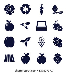Organic icons set. set of 16 organic filled icons such as field, plant, currant, strawberry, carrot, peach, grape, cabbage, apple, boiled egg, leaf, recycle