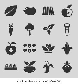 Organic icons set. set of 16 organic filled icons such as field, beet, corn, tree, leaf, lemon, milk glass, flower, sprout plants, apple, banana, strawberry, apple download