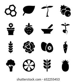 Organic icons set. set of 16 organic filled icons such as plant, bowl, currant, carrot, cabbage, cauliflower, flower pot, sprout, lemon, strawberry, easter egg, pineapple