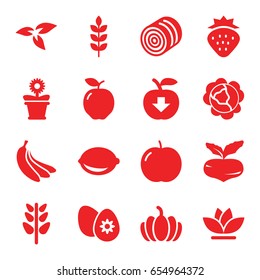 Organic icons set. set of 16 organic filled icons such as wheat, plant, hay, strawberry, apple, beet, cabbage, flower pot, flower, pumpkin, lemon, easter egg, banana