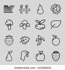 Organic icons set. set of 16 organic outline icons such as field, turkey, leaf, apple, pear, beet, cabbage, cauliflower, strawberry, banana, broccoli