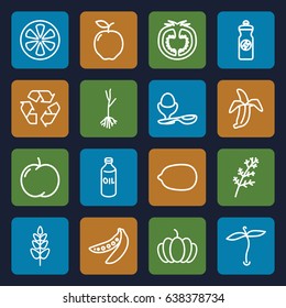Organic icons set. set of 16 organic outline icons such as plant, apple, deel, oil, lemon, energy drink, boiled egg, pumpkin, sprout, lemon, banana, tomato, peas