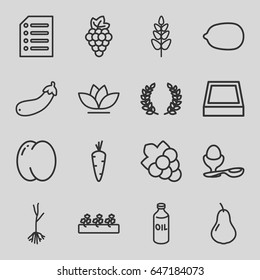 Organic icons set. set of 16 organic outline icons such as carrot, pear, peach, grape, oil, lemon, grape, boiled egg, flower, sprout plants, sprout, aubergine, plant, paper