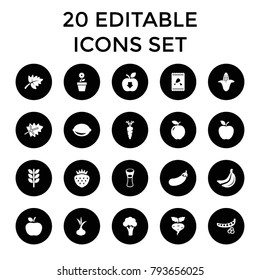 Organic icons. set of 20 editable filled organic icons such as leaf, onion, apple, peas, cauliflower, corn, wheat, milk glass. best quality organic elements in trendy style.