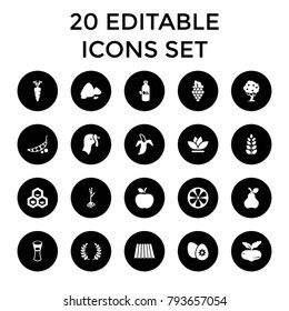 Organic icons. set of 20 editable filled organic icons such as field, turkey, beet, oil, milk glass, flower, sprout, carrot. best quality organic elements in trendy style.