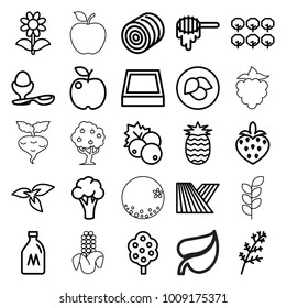 Organic icons. set of 25 editable outline organic icons such as field, plant, leaf, milk can, hay, currant, deel, cauliflower, tree, honey, apple, boiled egg, flower