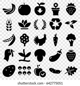Organic icons set. set of 25 organic filled icons such as wheat, plant, turkey, mushroom, leaf, strawberry, potato, carrot, apple, banana, eggplant, cauliflower, tree
