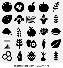 Organic icons set. set of 25 organic filled icons such as wheat, field, leaf, potato, onion, carrot, orange, apple, deel, corn, oil, strawberry, ground heap, seed bag, lemon