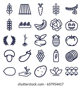 Organic icons set. set of 25 organic outline icons such as wheat, field, mushroom, hay, potato, grape, beet, banana, peas, cabbage, eggplant, apple, tree, lemon, flower