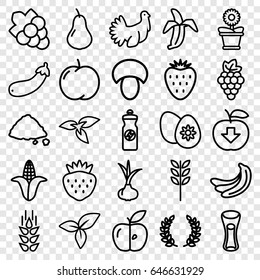 Organic icons set. set of 25 organic outline icons such as wheat, plant, mushroom, onion, pear, apple, grape, banana, corn, grape, energy drink, milk glass, flower pot