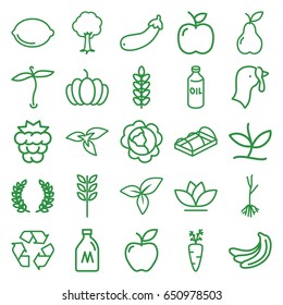 Organic icons set. set of 25 organic outline icons such as plant, milk can, turkey, mulberry, banana, cabbage, oil, flower, tree, apple, pear, pumpkin, sprout, greenohuse