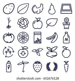Organic icons set. set of 25 organic outline icons such as plant, harvest, milk can, potato, apple, pear, beet, cabbage, leaf, flower pot, sprout, seed bag, carrot, lemon