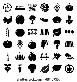 Organic icons. set of 36 editable filled organic icons such as field, harvest, turkey, mushroom, peach, apple, grape, cabbage, cauliflower, tree, leaf, cucumber