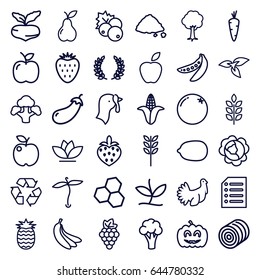 Organic icons set. set of 36 organic outline icons such as wheat, plant, turkey, hay, currant, carrot, orange, grape, beet, cabbage, eggplant, cauliflower, corn, lemon, flower