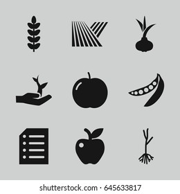 Organic icons set. set of 9 organic filled icons such as field, onion, apple, sprout, peas, paper, plant on hand