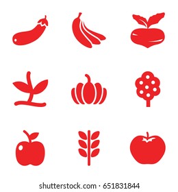 Organic icons set. set of 9 organic filled icons such as beet, apple, tree, pumpkin, aubergine, plant, banana