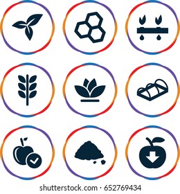 Organic icons set. set of 9 organic filled icons such as apple, flower, ground heap, greenohuse, leaf, apple download, plant, wheat
