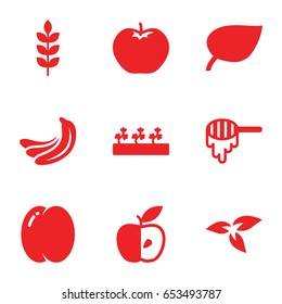 Organic icons set. set of 9 organic filled icons such as wheat, plant, peach, banana, apple, honey, sprout plants