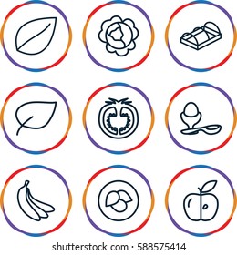 organic icons set. Set of 9 organic outline icons such as leaf, cabbage, boiled egg, greenohuse, apple, tomato