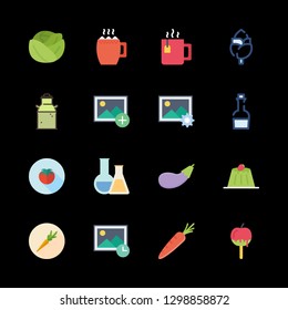 organic icons set with healthy food, tomatoes and cocoa vector set
