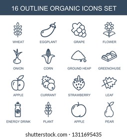 organic icons. Trendy 16 organic icons. Contain icons such as wheat, eggplant, Grape, flower, onion, corn, ground heap, greenohuse, apple, currant. organic icon for web and mobile.