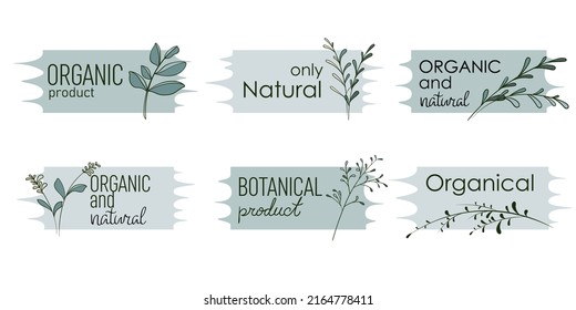 Iconos orgánicos. Placa botánica vectorial. Elementos decorativos. Diseño de etiquetas botánicas.
