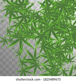Organic Illustration. Abstract  Hashish Vector. Green Herbal Production.  Medical Organic Design. Transparent Agronomy Background.  Organic Illustration. Yellow Agriculture Wallpaper. 