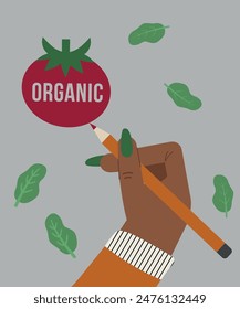 Organic Illustration Hand Writing at Pencil with Tomato