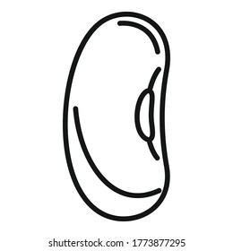 Organic kidney bean icon. Outline organic kidney bean vector icon for web design isolated on white background