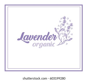 Organic lavender flowers vector illustration logotype sample